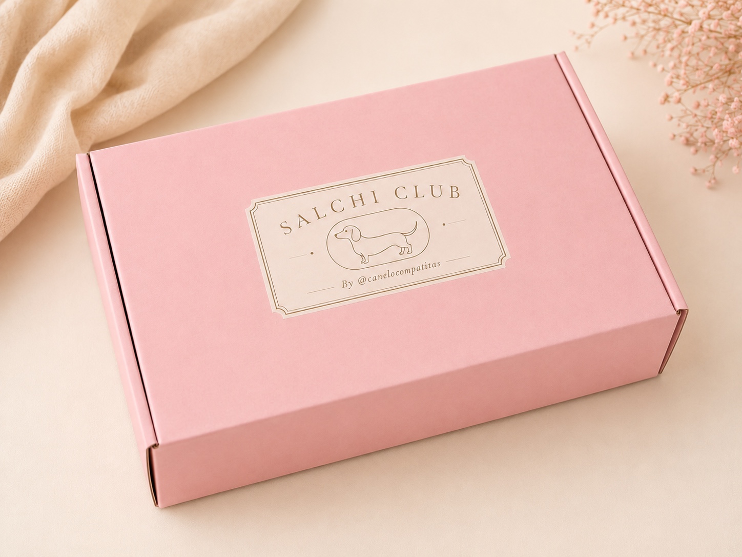 Caja Salchibox Edición N°01, rosada con el logo de Salchi Club — caja sorpresa inspirada en perros salchicha